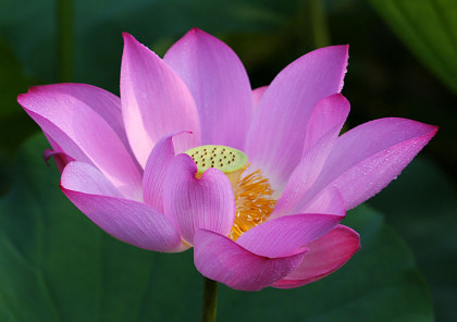 Test Bild